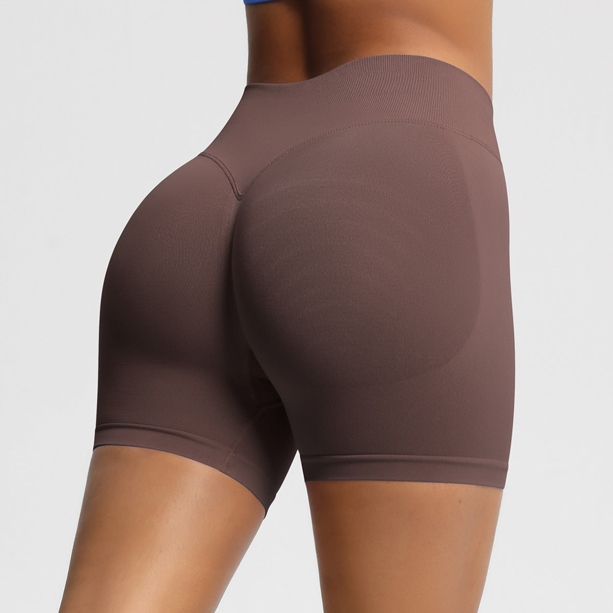 Elena Sculpt Seamless Shorts